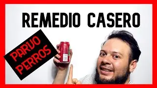 Remedio Casero contra el parvovirus