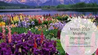 March 2019 Monthly Horoscopes