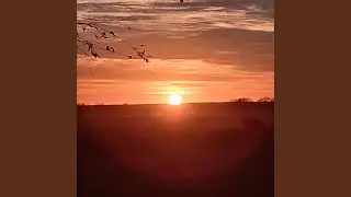 F.E.A.R. Of Jehovah