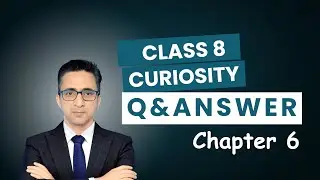 📘 Class 8 Science Curiosity Chapter 6 | Q&A | All NCERT Solutions Explained!