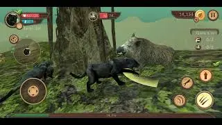 Wild Panther Sim Part 6