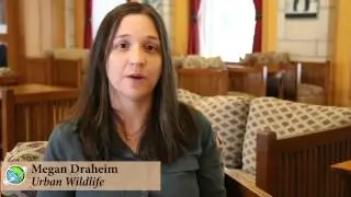 Course Highlight - Urban Wildlife