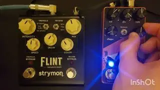 Tremolo Demolo: Walrus Audio Monument Bass Demo (With Strymon Flint Comparison)