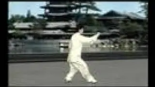 16式太極拳