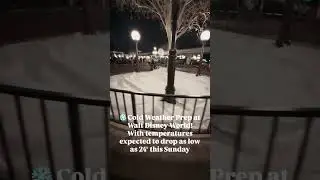 Cold Weather Prep at Walt Disney World! #shortvideo #short #disney