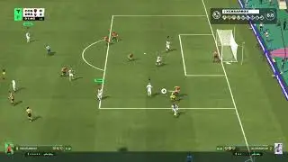 Fvpa dragoni