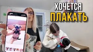 Шок! 😭 Новый питомец и побег из школы.