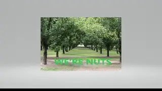 #15 Pecan Harvesting Equipment
