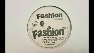 Heavenly  - The Dub Organiser   (Fashion Records / Conscious Sounds / Mania Dub)