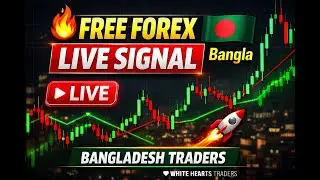 FREE Forex Live Signals Bangladesh 🇧🇩   Live Trade Entry No VIP