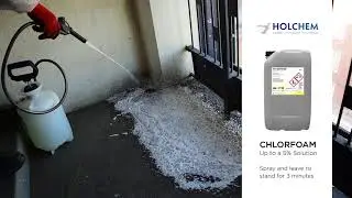 Safe Removal Of Bird Droppings