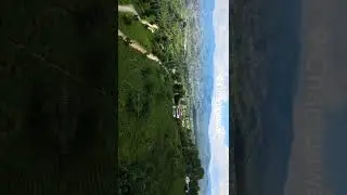 Tea Garden Champawat  #shorts #nature #travel #uttarakhand #uttarakhandtourism #vlog #OutOfDoors