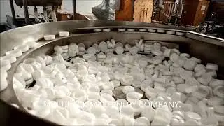 Wad Inserting Machine for Plastic Cap - Single Head - multipack Manufacturer from Ahemedabad