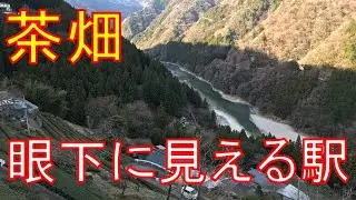 【飯田線秘境駅巡り#5】ついにその時が！？茶畑広がる秘境駅が美しい。中井侍駅