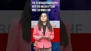 PCB to reward each player of Pakistan with USD 100,000 if team wins T20 World Cup #T20 #india #pak