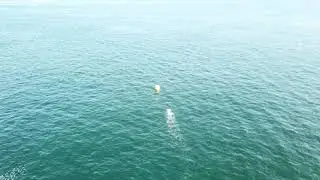 Nubble Challenge Swim 2019