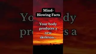 Your body produces a new skeleton Every 10 years #skeletonfacts #anatomytruths #bodyrenewal #bonebio