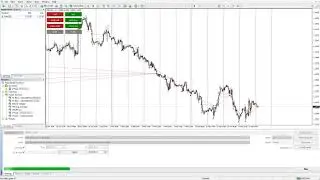 Automatic trading system  WILD FX