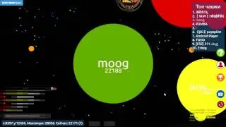 Чашка Петри по взрослому | agario clone