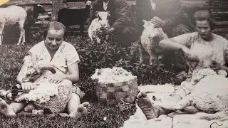 Ливы