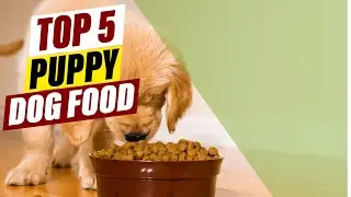 Affordable Puppy Dog Food: Budget-Friendly Options