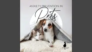 Animals Wellness