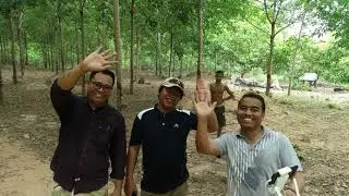 ចំការគ្រួសារ ផែនការចិញ្ចឹមសត្វក្រោមដំណាំបន្ថែមទៀត Family Farm and livestock