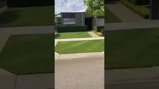 Autumn lawn stripes
