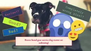 Service dog gear unboxing and review! (Braver hund gear)