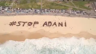 Public opposition grows as coal mine project in Australia could destroy environment