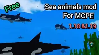 sea animals mod for minecraft pocket edition 1.18 +