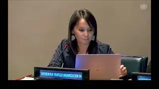 Tomsk Indigenous Peoples' Union. UN Permanent Forum on Indigenous Issues, 24th session (Rus)