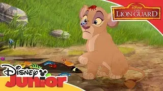 The Lion Guard - On Safari with Grubs | Official Disney Junior Africa