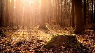 Sound Medicine: RE 417 Hz