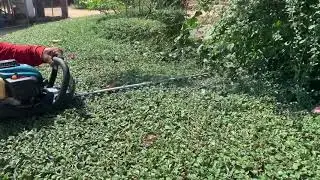 EH7500W 22cc 2-stroke Petrol Hedge Trimmer