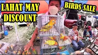 BIRDS SALE MAGAGANDANG IBON ANG DALA NILA.