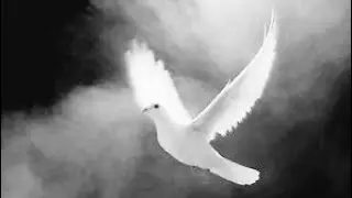 TRIBUTE TO LOVED ONES THAT HAVE PASSED AWAY.  Emotional  poetry, spoken word 