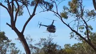 Kimberley Muster