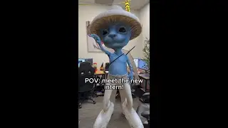 Tech office startup Meet the new intern
