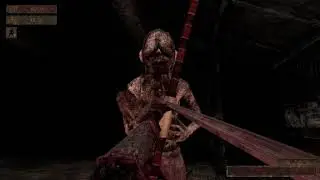 Labyrinth Of The Demon King p4 First Boss Fight