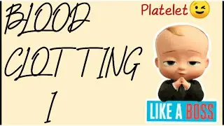 Hemostasis & Blood Clotting | Platelet Plugs | Clotting Factors and Pathways | Fibrin Mesh Formation