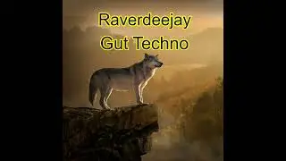 Raverdeejay - Gut Techno - Rastatt - Wiesbaden - NRW - Strzegom - H&ouml;rden - Gernsbach - Karlsruhe