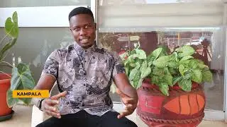 🟡 AIRBNB: Short-term Rentals in Uganda  disrupting Uganda's Real Estate Sector.