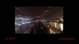 Lil tracy - alex macqueen
