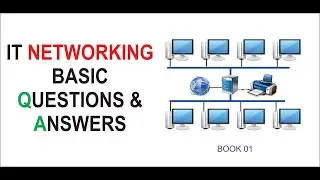 IT Networking Basic Q&A | Beginner Knowledge Test