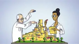 Social Finance | Pay for Sucess | 2D Animation