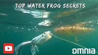 Top water  Frog Bass Fishing! How to catch more fish in HOT weather!