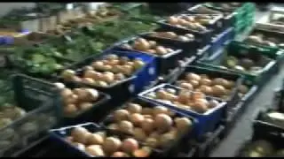 Plant & Vegetable Auction