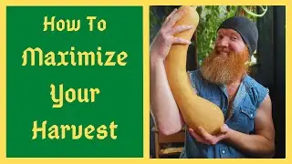 My 5 Tips To Maximize Your Harvest