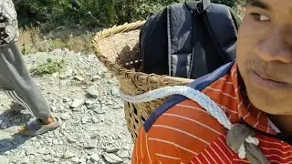 Small, but  difficult walk to my farm | Real village life 🌾” 😁😁😣